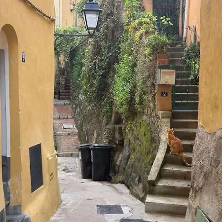 Perche Sur - Vieux * 멍똥