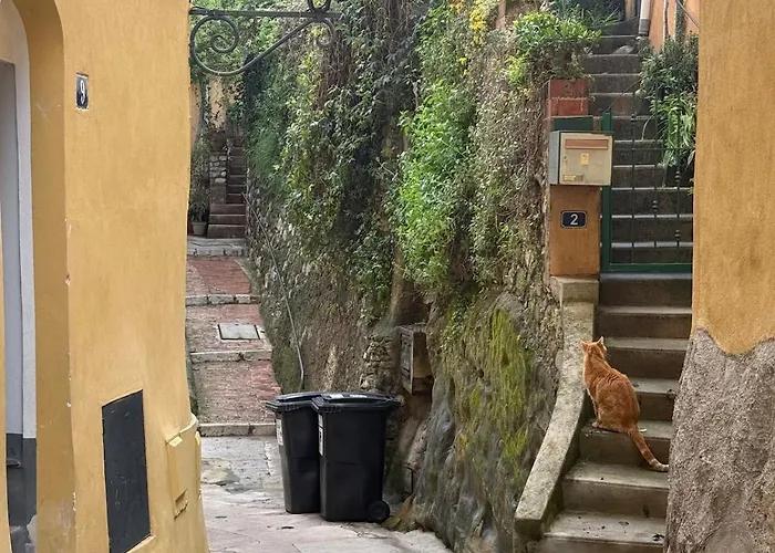 Perche Sur - Vieux * Menton